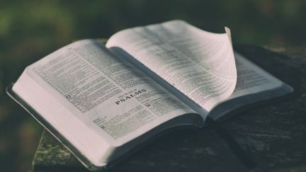 How to Study a Passage of Scripture